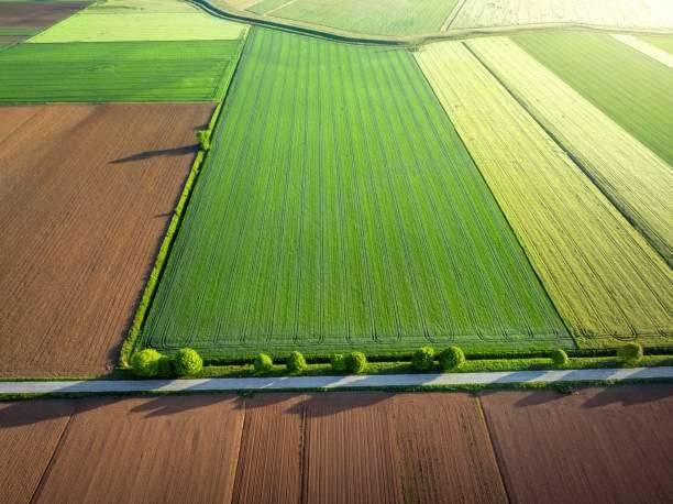 terreno agricolo in vendita a Noale