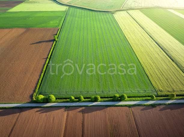terreno agricolo in vendita a Noale