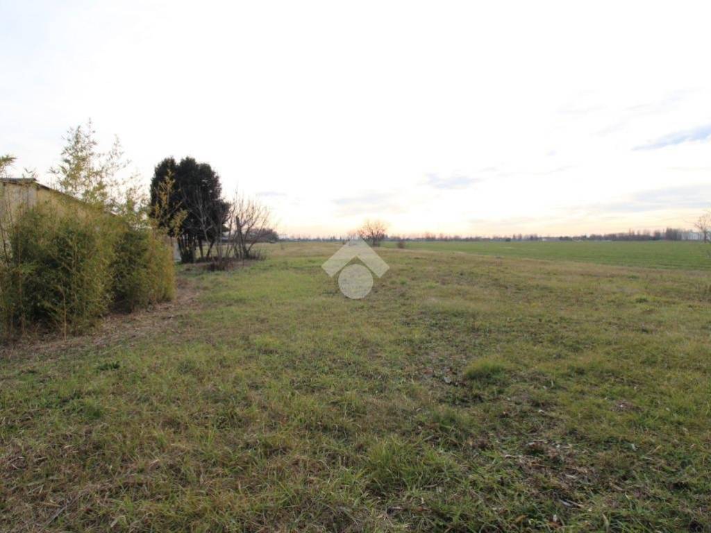 terreno agricolo in vendita a Noventa di Piave in zona Santa Teresina
