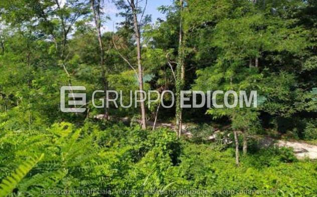 terreno edificabile in vendita a Noventa di Piave