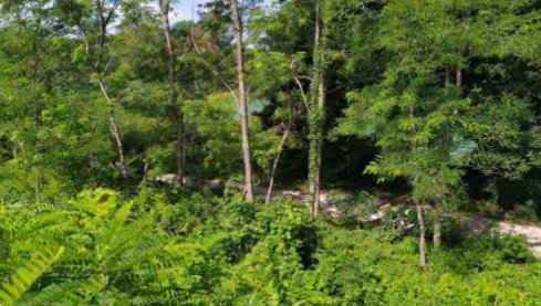 terreno edificabile in vendita a Noventa di Piave