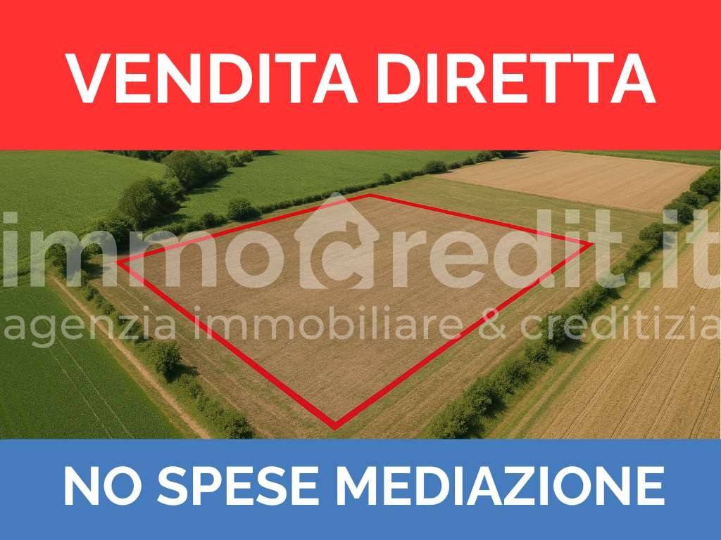 negozio in vendita a Noventa di Piave