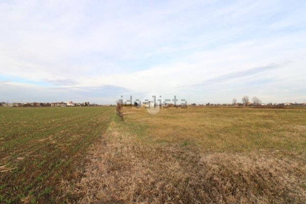 terreno agricolo in vendita a Noventa di Piave in zona Santa Teresina