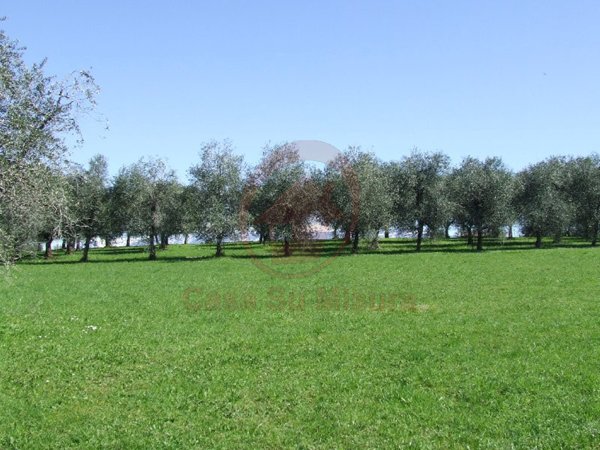terreno edificabile in vendita a Pianiga in zona Mellaredo