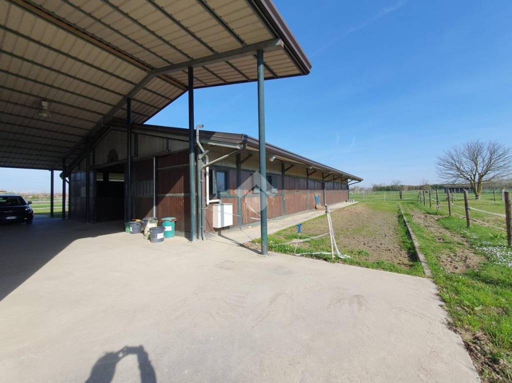 casa indipendente in vendita a Pianiga