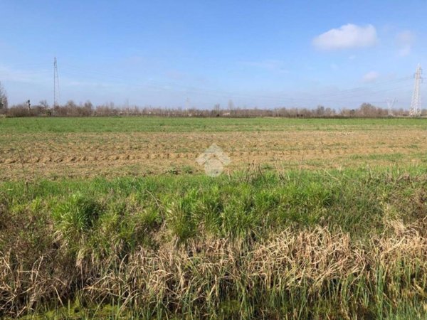 terreno agricolo in vendita a Pianiga