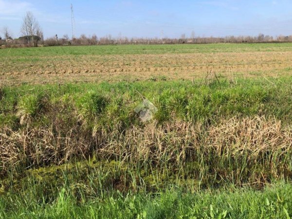 terreno agricolo in vendita a Pianiga