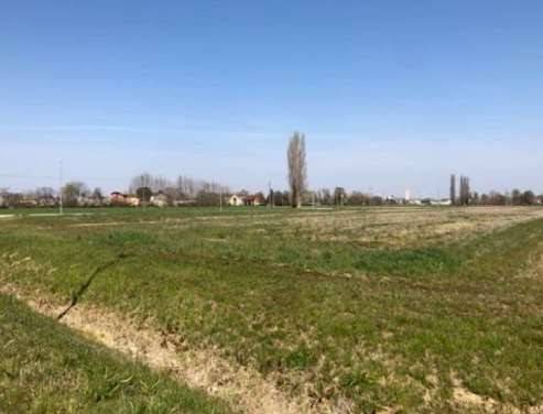 terreno agricolo in vendita a Pianiga