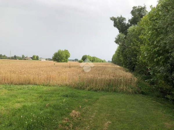 terreno agricolo in vendita a Pianiga in zona Mellaredo