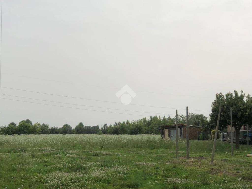 terreno agricolo in vendita a Pianiga in zona Mellaredo