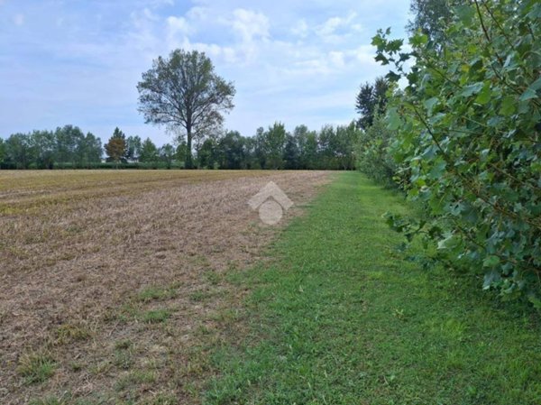 terreno agricolo in vendita a Pianiga