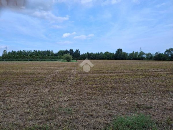 terreno agricolo in vendita a Pianiga in zona Rivale