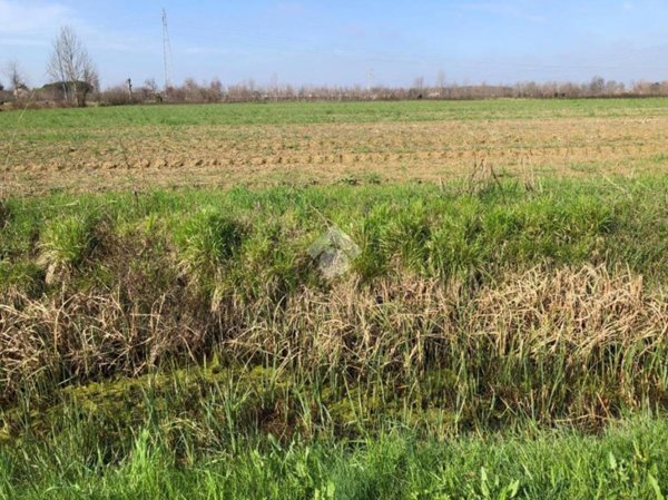 terreno edificabile in vendita a Pianiga