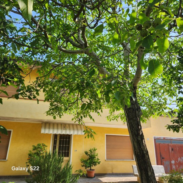 casa indipendente in vendita a Pianiga in zona Mellaredo