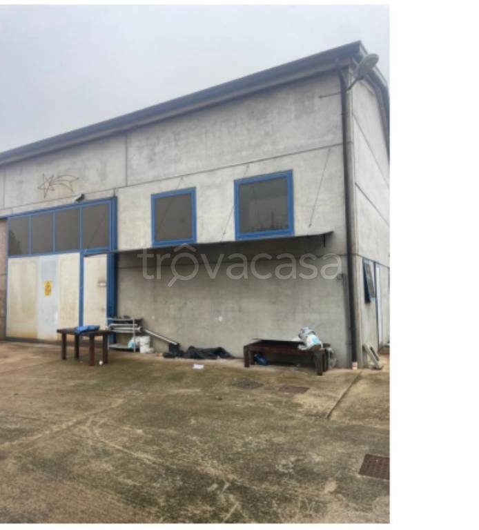 negozio in vendita a Pianiga