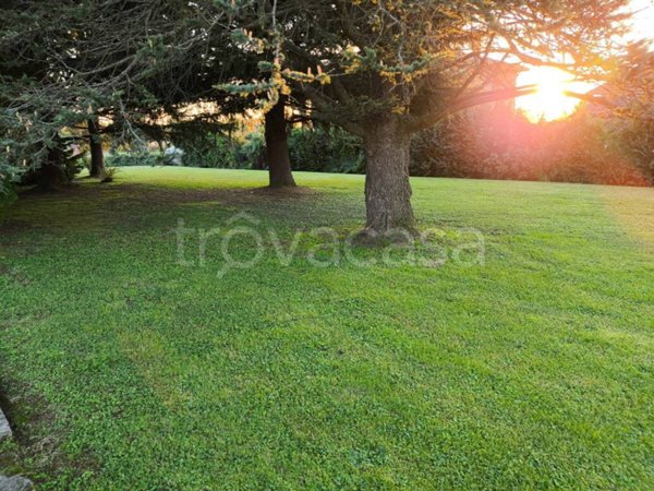 casa indipendente in vendita a Pianiga