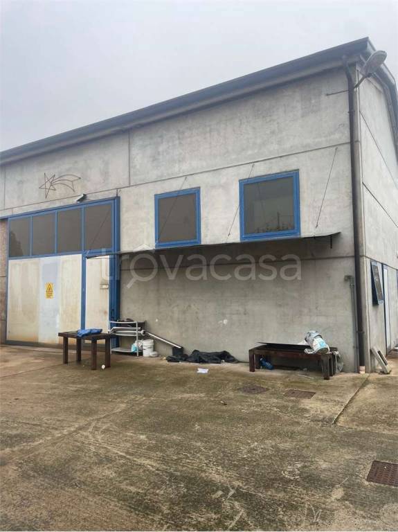 negozio in vendita a Pianiga