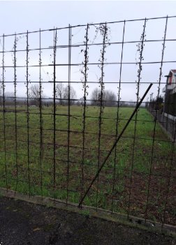 terreno edificabile in vendita a Pianiga