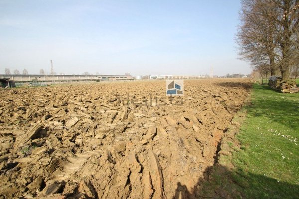 terreno agricolo in vendita a Pianiga