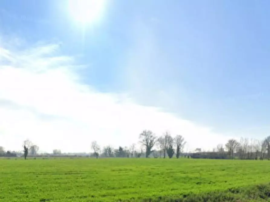 terreno agricolo in vendita a Pianiga in zona Rivale