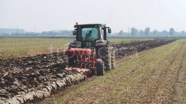 terreno edificabile in vendita a Pianiga