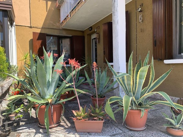 appartamento in vendita a Pianiga in zona Cazzago