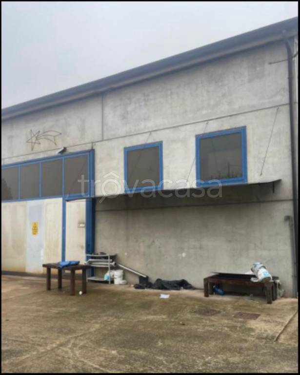 negozio in vendita a Pianiga