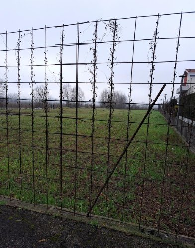 terreno edificabile in vendita a Pianiga in zona Cazzago