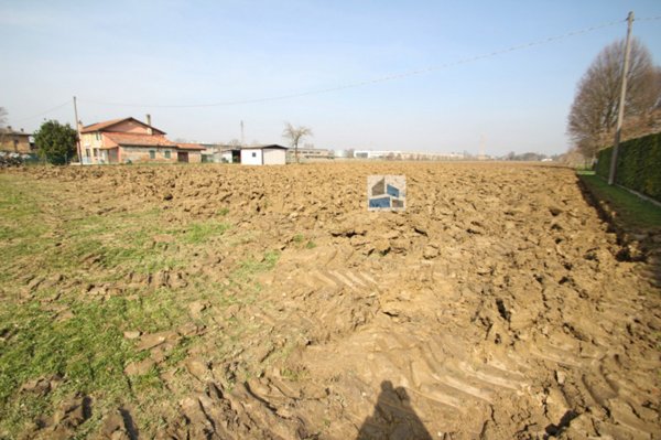 terreno agricolo in vendita a Pianiga