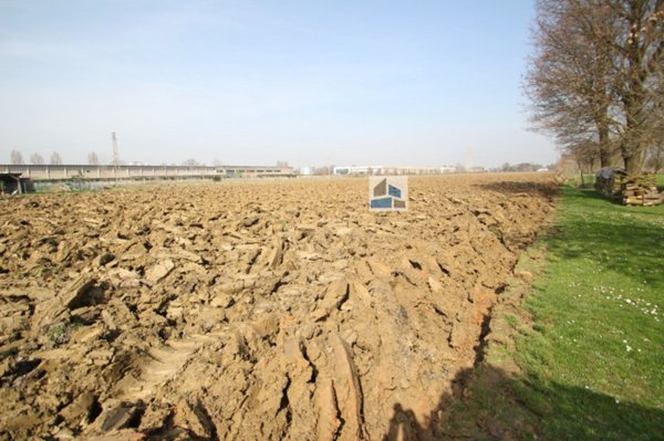 terreno agricolo in vendita a Pianiga