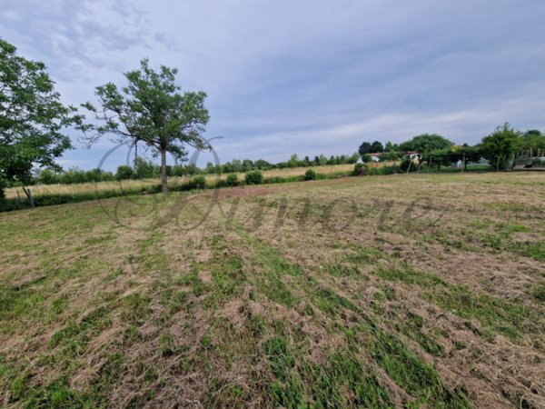 casa indipendente in vendita a Pianiga in zona Mellaredo