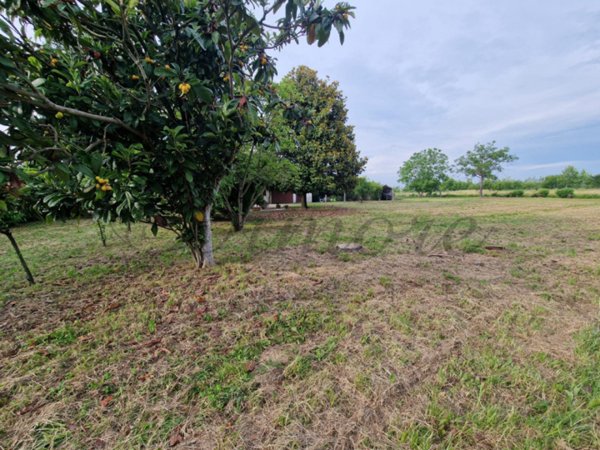 casa indipendente in vendita a Pianiga in zona Mellaredo