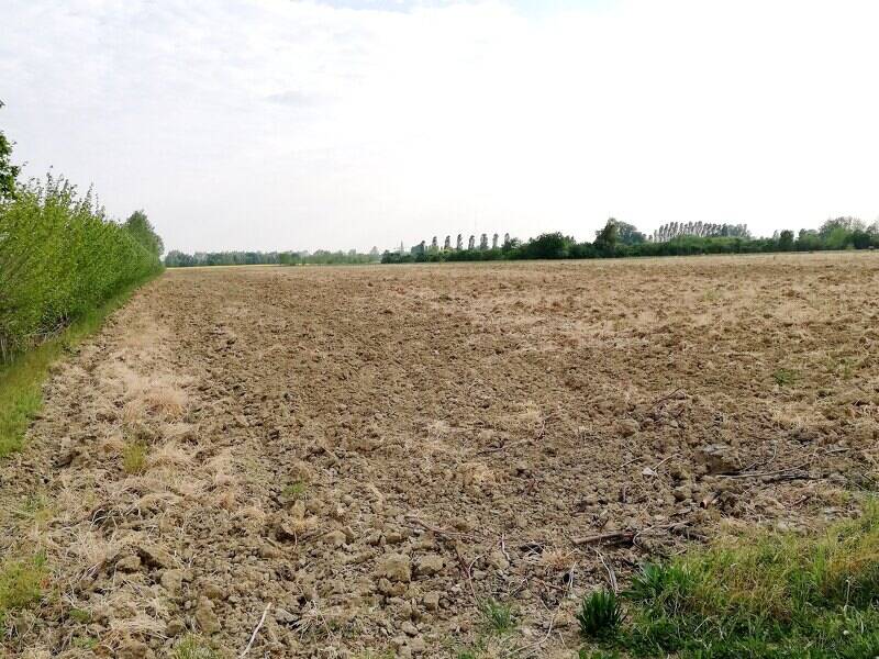 terreno agricolo in vendita a Pianiga in zona Mellaredo