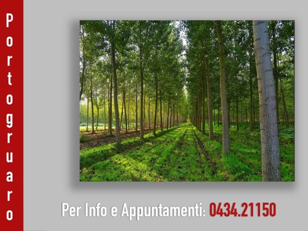 terreno agricolo in vendita a Portogruaro