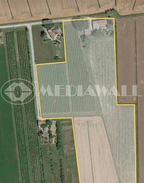 casa indipendente in vendita a Portogruaro in zona Mazzolada