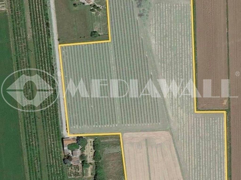 casa indipendente in vendita a Portogruaro in zona Mazzolada