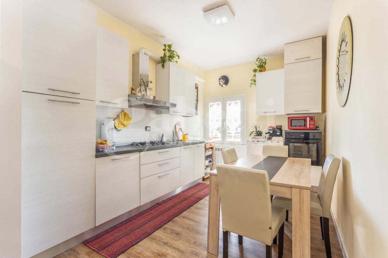 immagine annuncio 0 di 15