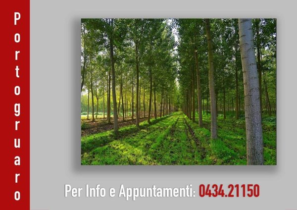 terreno agricolo in vendita a Portogruaro