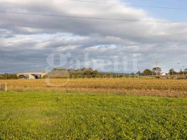 terreno agricolo in vendita a Portogruaro in zona Summaga
