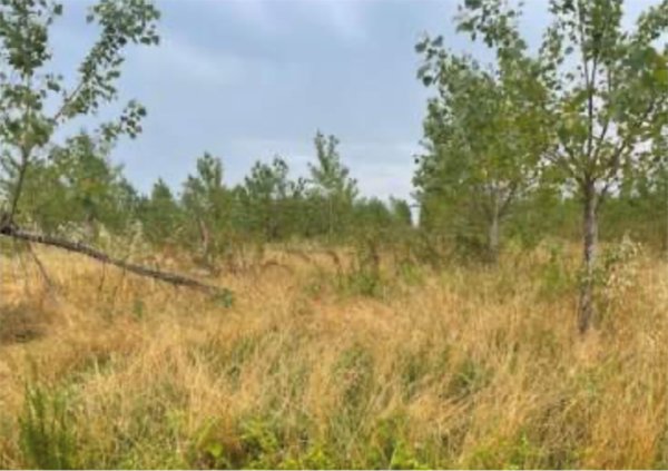 ufficio in vendita a Portogruaro