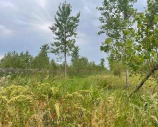 terreno edificabile in vendita a Portogruaro