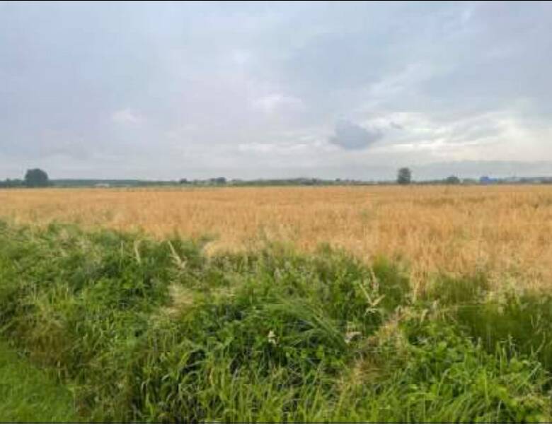 terreno agricolo in vendita a Portogruaro