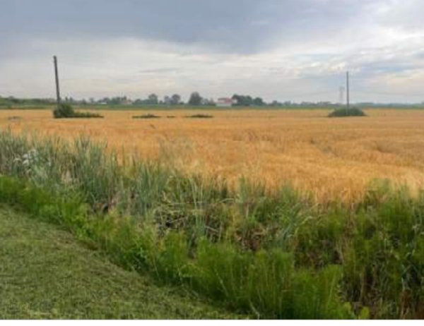 terreno agricolo in vendita a Portogruaro