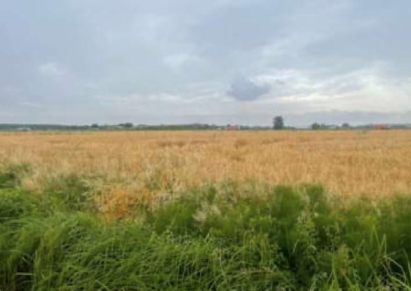 ufficio in vendita a Portogruaro