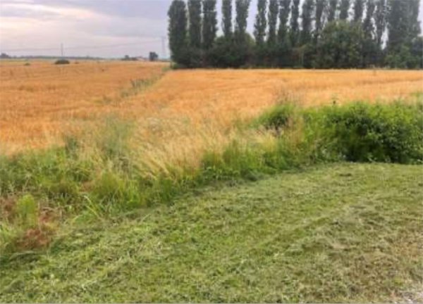 ufficio in vendita a Portogruaro