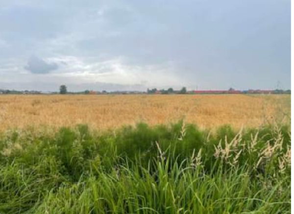 terreno agricolo in vendita a Portogruaro