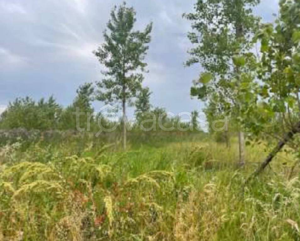 terreno edificabile in vendita a Portogruaro