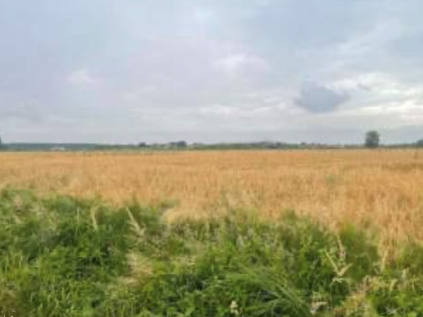 ufficio in vendita a Portogruaro