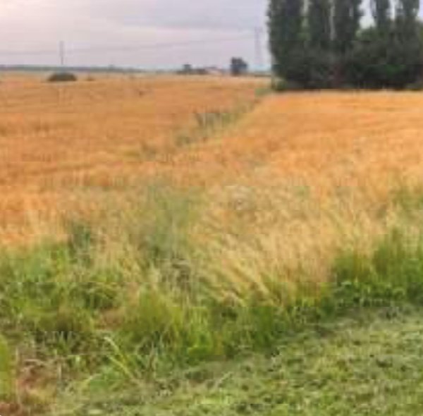 ufficio in vendita a Portogruaro