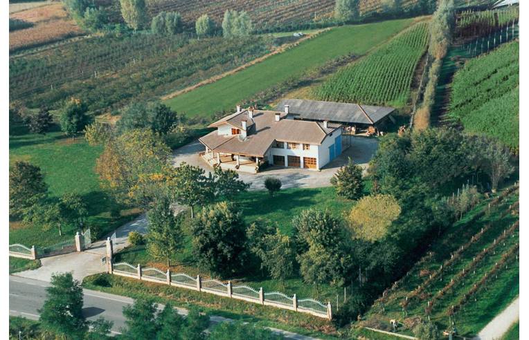 casa indipendente in vendita a Portogruaro in zona Pradipozzo